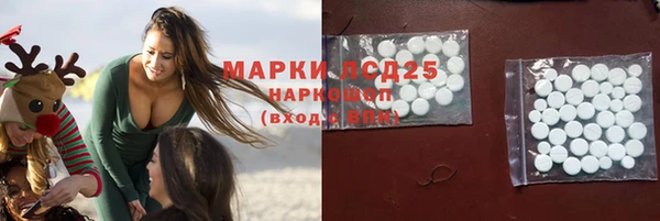 стаф Магас