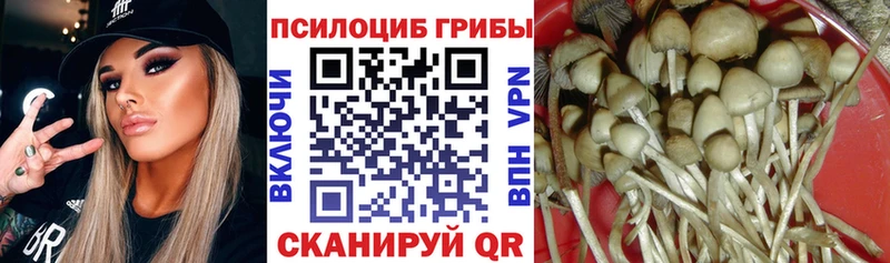 Галлюциногенные грибы мухоморы как найти наркотики Юрюзань
